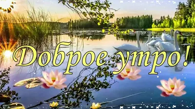 С добрым утром!#видеооткрытка #открыткасдобрымутром#открытка #рекоменд... |  TikTok