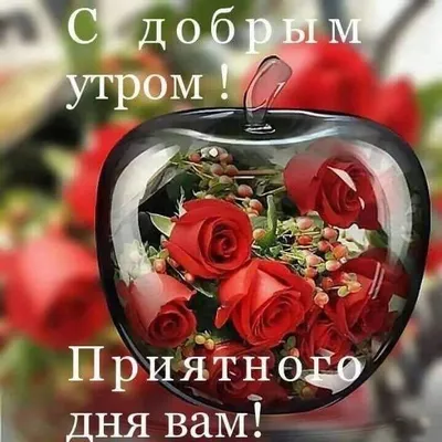 А вот и среда - Открытки - С ДОБРЫМ УТРОМ