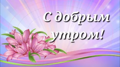 С Добрым Утром Картинки Прикольные Для Ватсапа – Telegraph