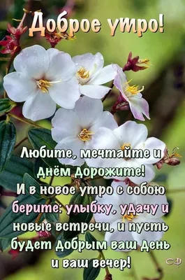С добрым утром! Для whatsApp, viber, ВКонтакте, одноклассники видео  пожелание - YouTube