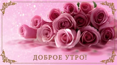 Доброе утро открытки ватсапп - 59 фото