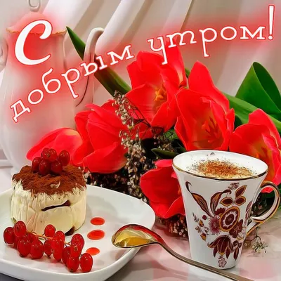 Картинки статус для whatsapp природа (67 фото) » Картинки и статусы про  окружающий мир вокруг