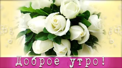 Доброе утро своими словами. +30 классных картинок! | Доброе утро, Открытки,  Надписи