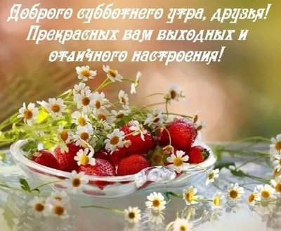 Открытки в WhatsApp: культура или кринж? | theGirl