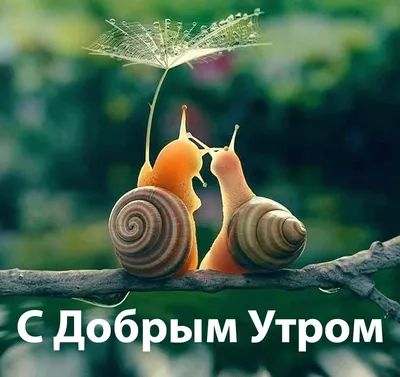 Открытка для ватсап с днем рождения женщине скачать — Slide-Life.ru