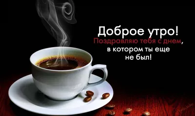 Доброе утро картинки необычные прикольные - ФУДИ