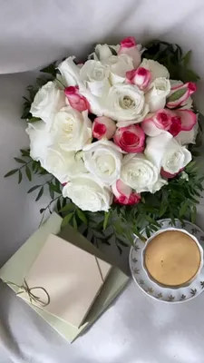Скачать открытки для Whatsapp (Ватсап) бесплатно