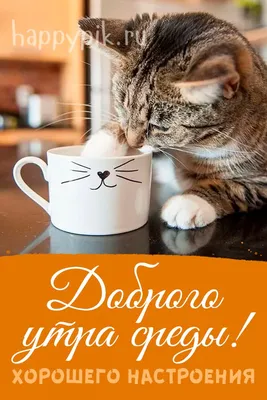На позитиве: как прекратить «доброжелательный» спам | Screenlifer