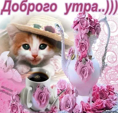 Красивые поздравления! Открытка с пожеланиями доброго утра пятницы, пятница доброе  утро!