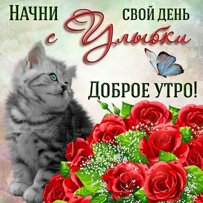 Stangovsky. Flowers kitchen - Доброе утро! Роскошные пионы❤️ ⠀ Заказать  букет 💐просто: ▸ нажимай кнопку позвонить в шапке профиля или пиши direct  message ▸ наш телефон +38(067) 684-45-93 (Viber, WhatsApp) ⠀ #квіти #