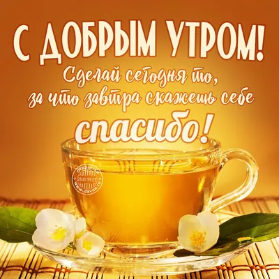 https://dzen.ru/video/watch/659e87a41f823614d3af3d04