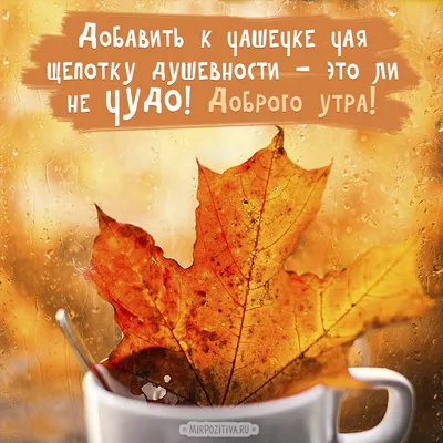 Картинки С добрым утром среды - скачать (174 шт.)