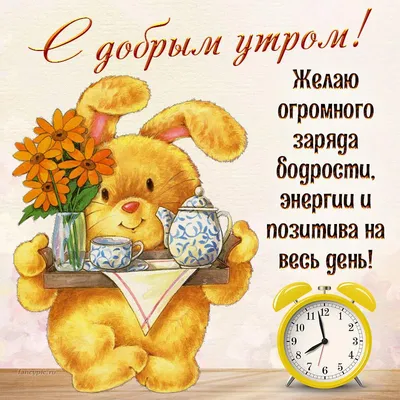 💗 Красивая картинка на вацап (whatsApp) парню, другу, мужчине, начальнику  с надписью доброе утро! скачать бесплатно | мужчине | открытка, картинка  123ot