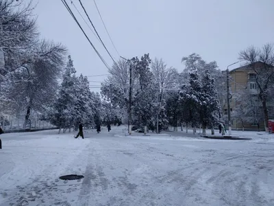 Где провести зиму? В Пятигорске! Курорты Ставрополья входят в десятку  популярных направлений для зимовки в теплых краях