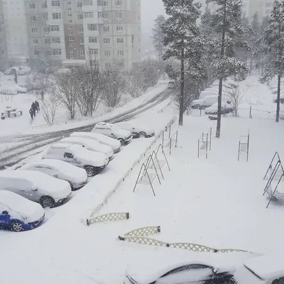 сальск зима | Сальскньюс