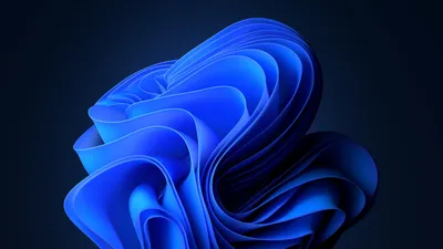 Windows Spotlight wallpapers bring some fun to Windows 11 | PCWorld