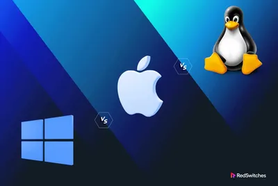 Windows Basics: Common Applications in Windows