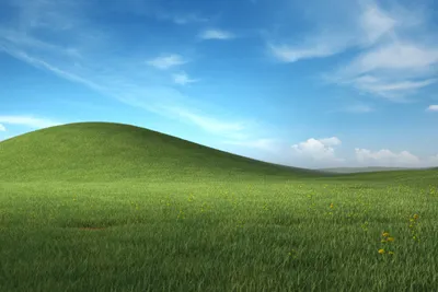 400+] Windows Wallpapers | Wallpapers.com