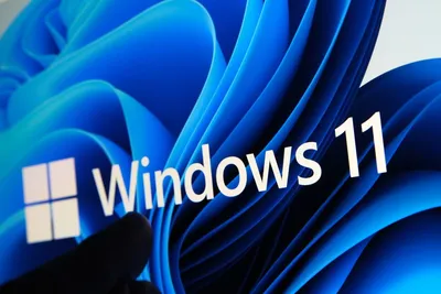 File:Windows logo - 2021.svg - Wikipedia
