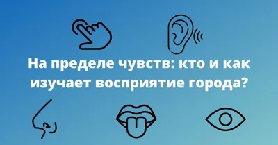 Особенности восприятия у мужчин | Точка зрения | Дзен