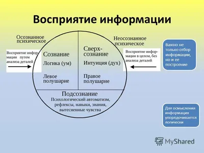 Психология цен в маркетинге: влияние стоимости на восприятие товаров и  поведение потребителей