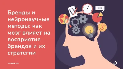 Как подготовить публичное выступление, чтобы спикера слушали › Блог ИКРЫ