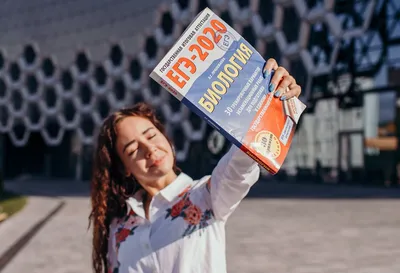 Книга АСТ Математика Мини тесты и примеры на все темы школьного курса 3  класс купить по цене 238 ₽ в интернет-магазине Детский мир