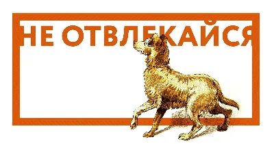 Обществознание. Все темы школьного курса. 8–11 классы, Яна Вареньева –  скачать pdf на ЛитРес