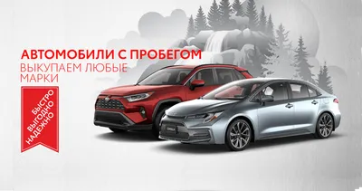 Набор для фотосессии \"Выкуп\" - купить по доступным ценам в  интернет-магазине OZON (168437958)