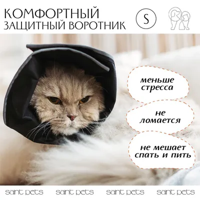 Пожелание выздоровления в прозе -