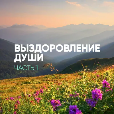 Комфортный защитный воротник для собак и кошек. Размер S. Меньше стресса  быстрее выздоровление - купить с доставкой по выгодным ценам в  интернет-магазине OZON (858291749)