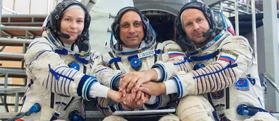 Что известно о фильме «Вызов» и почему его стоит посмотреть 20 апреля —  Секрет фирмы