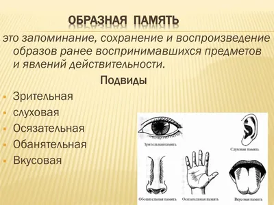 Методика веселые картинки т в розанова (43 фото) » Юмор, позитив и много  смешных картинок
