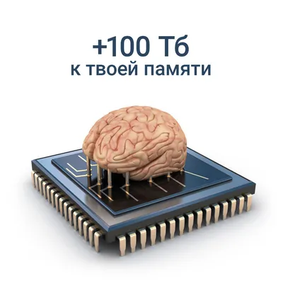 ФЕНИКС+ Игры на запоминание \"Развивающие карточки\" ЦИФРЫ