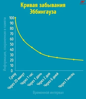 5 легких способов запомнить самое важное