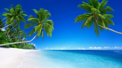 Windows 11. Обои для рабочего стола. 1920x1080
