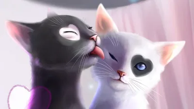 Заставка кот - картинки и фото koshka.top