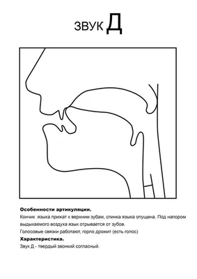 Звук [ д]. Буква “Д д.” | Презентація. Дошкільна освіта