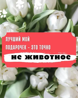 Картинки накануне 8 марта фотографии
