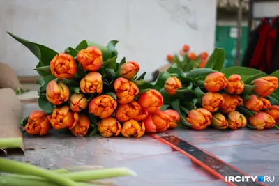 Цветов на 8 Марта в России достаточно, сообщил Россельхознадзор - РИА  Новости, 14.02.2024