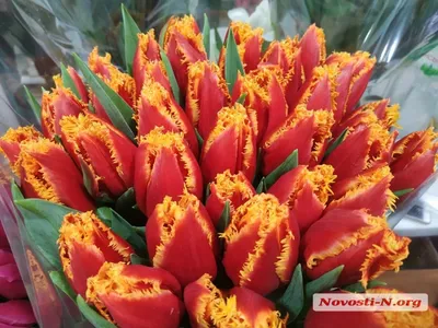 В Воронеже проверили продавцов тюльпанов и мимоз накануне 8 Марта