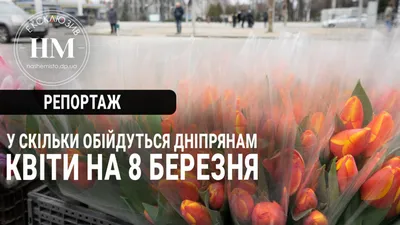 https://dzen.ru/a/Zebm6Tfwi0jhmCbC