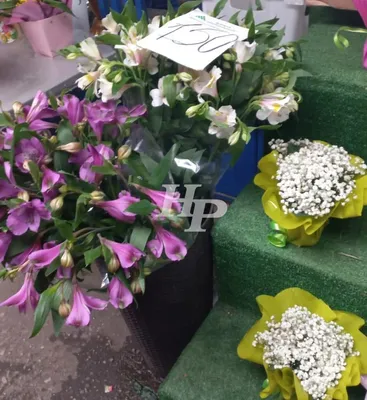 В Калининграде накануне 8 марта пропал 44-летний мужчина - НИА-КАЛИНИНГРАД