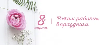 Букет нарциссов шаблоны для распечатки и создания поделки из бумаги к 8  марта в сад, школу, цветы из бумаги. Шаблоны поделок из бумаги для детей  распечатать - Мой знайка