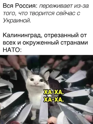 Самый страшный мужской день в году: Приколы про 8 Марта, которые не оставят  вас равнодушными - onedio.ru
