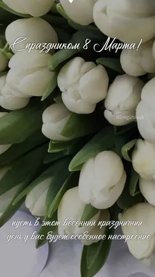 https://iz.ru/1660932/2024-03-06/s-8-marta-dushevnye-pozdravleniia