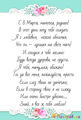 Мейн кун Степа и кот Тихон. С праздником 8 марта! | Мозаика жизни | Дзен