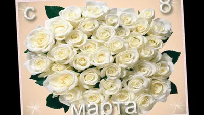 Скачать обои праздник, 8 марта, женский день, розы красные, розы белые  разрешение 1920x1200 #7421