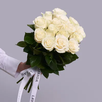 Белые розы (50 см) по цене 225 ₽ - купить в RoseMarkt с доставкой по  Санкт-Петербургу