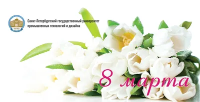 Ежедневник в тонкой обложке «С 8 Марта БЕЛЫЕ РОЗЫ», А5, 80 л - купить в  КомфортМаркет, цена на Мегамаркет